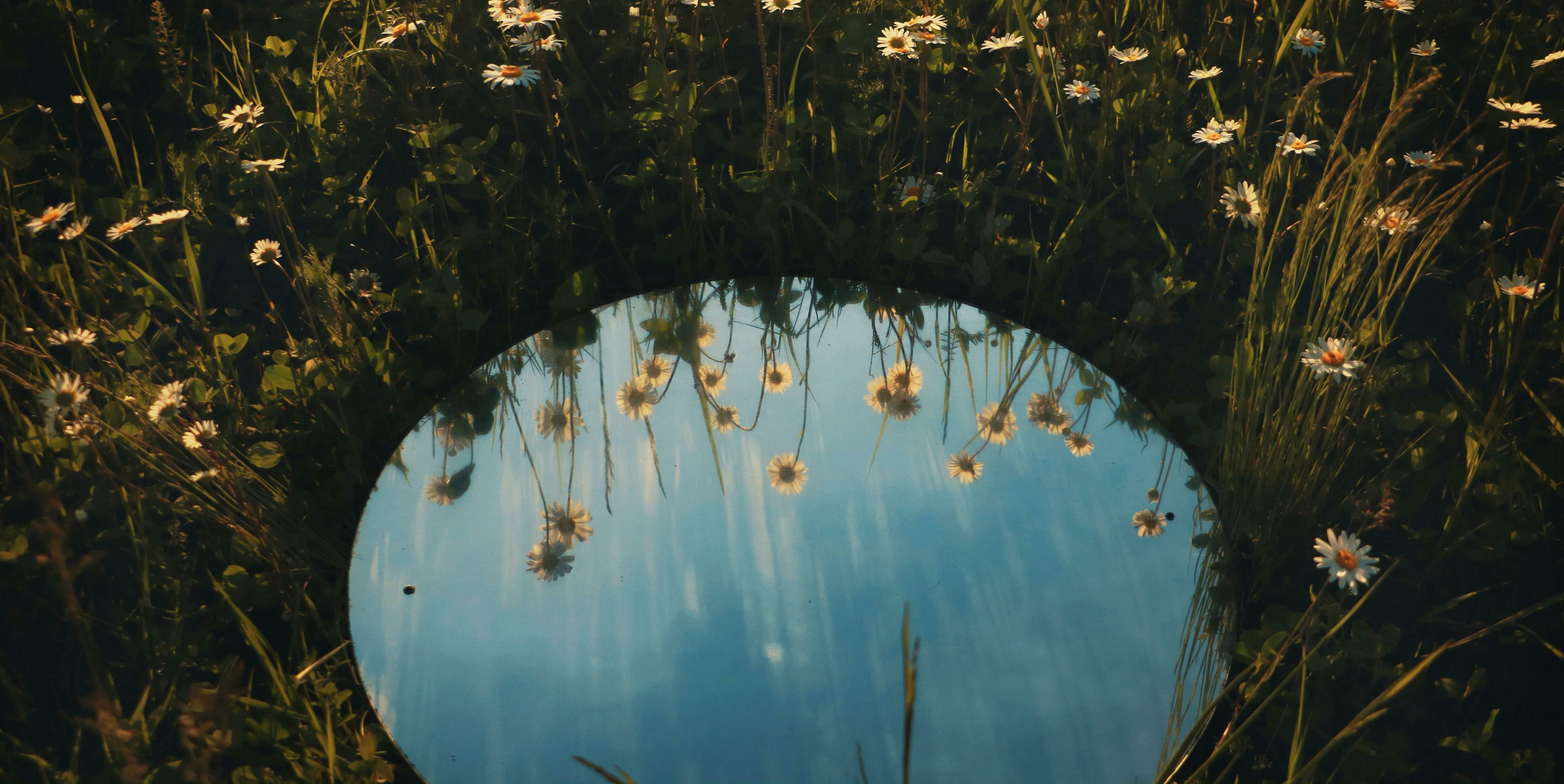 Pexels-lukas-dlutko-1278617-2440297