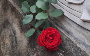 Z7210957023602_e22b35089ce18257f3f9e54542daf270